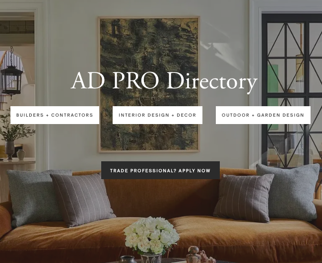 AD PRO Directory B2B product launch
